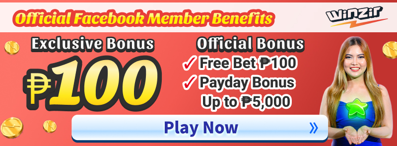 Winzir Exclusive Bonus  100 Play noe